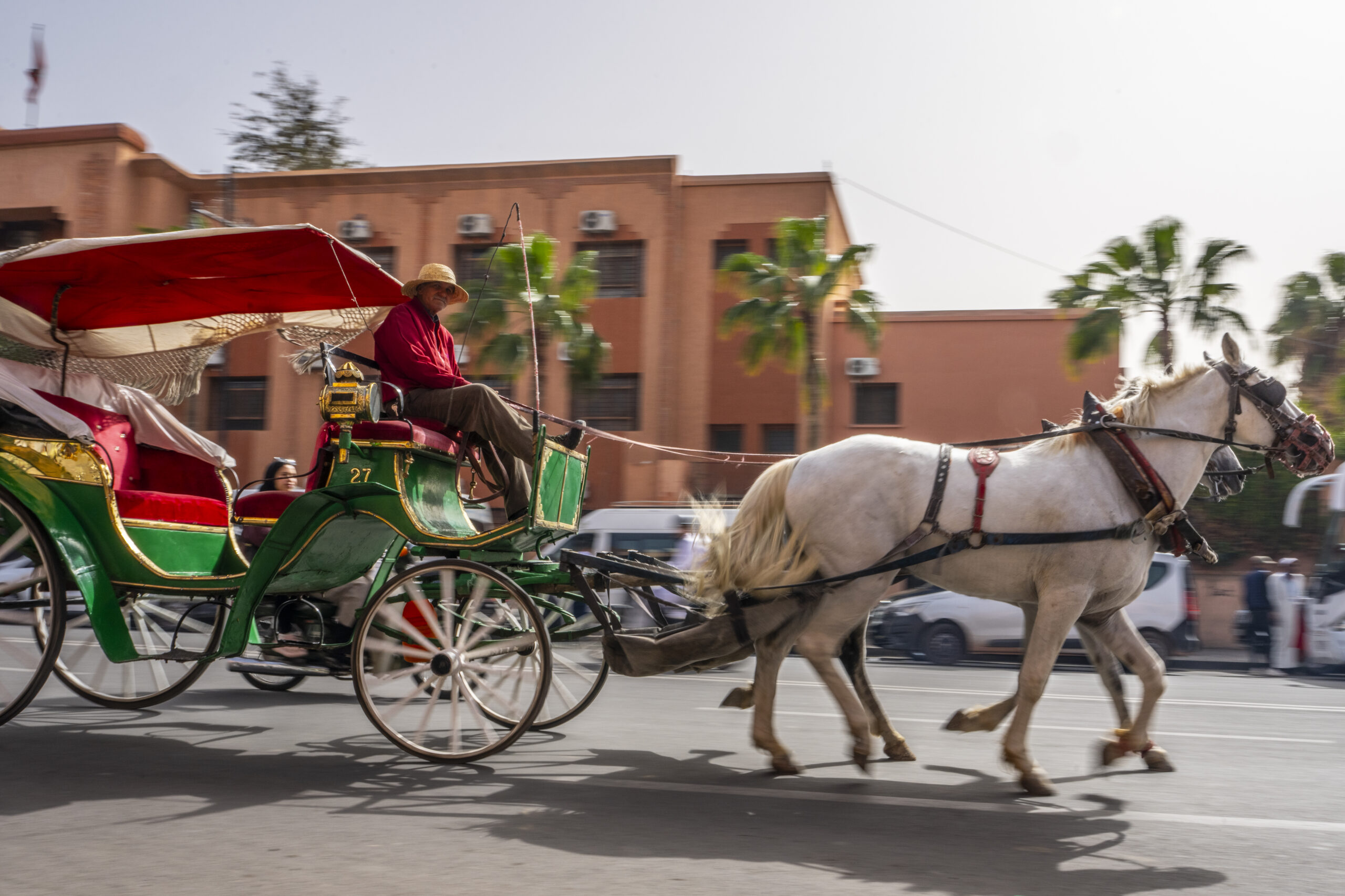Marrakech Immersion