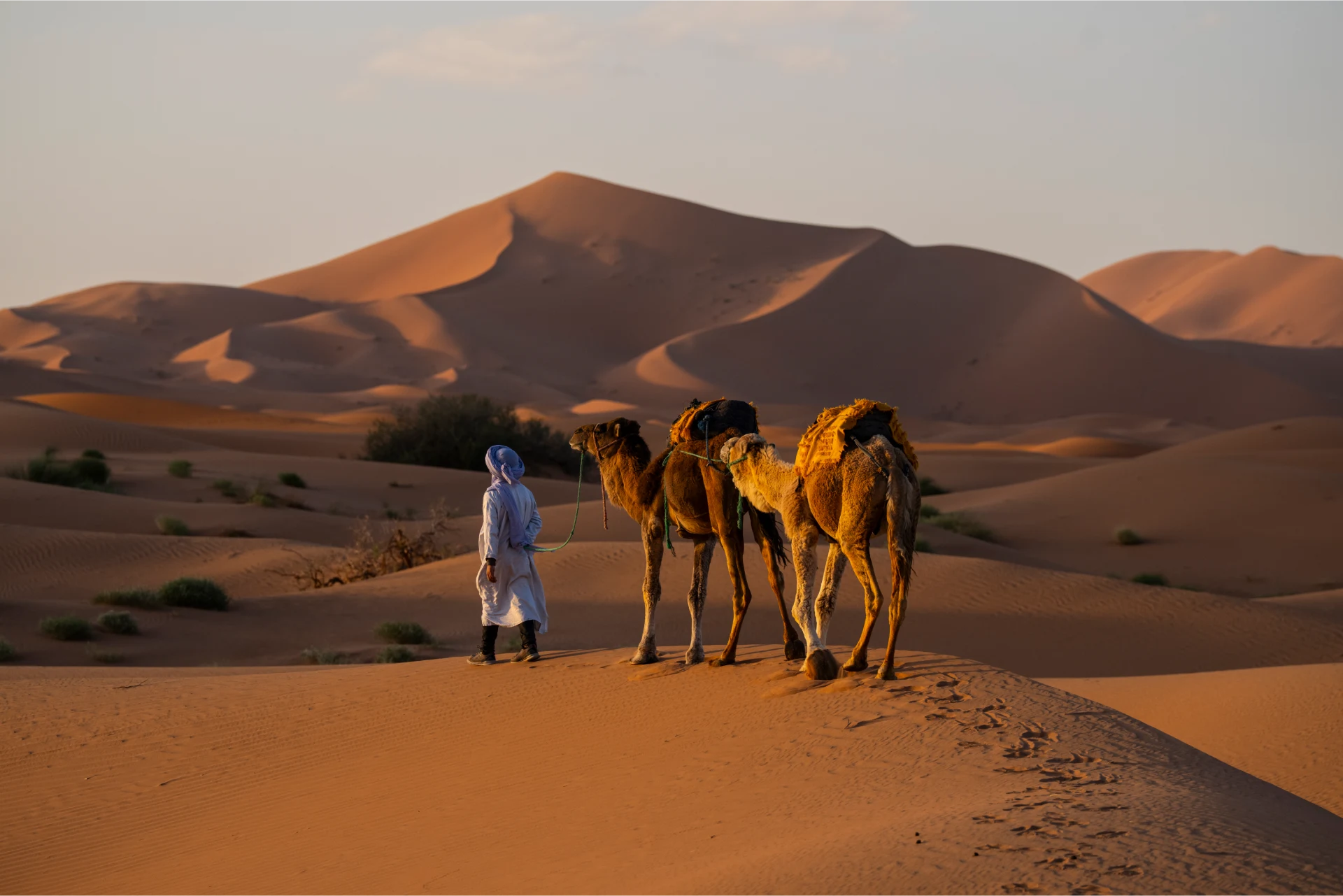 Sahara Desert Camps