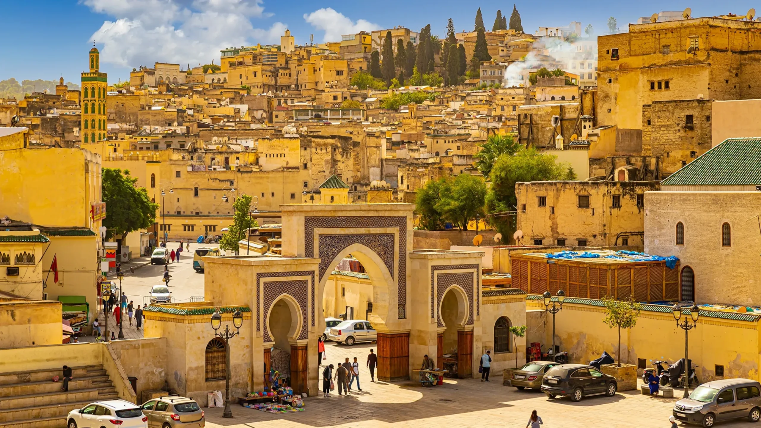 Fes Medina tanneries