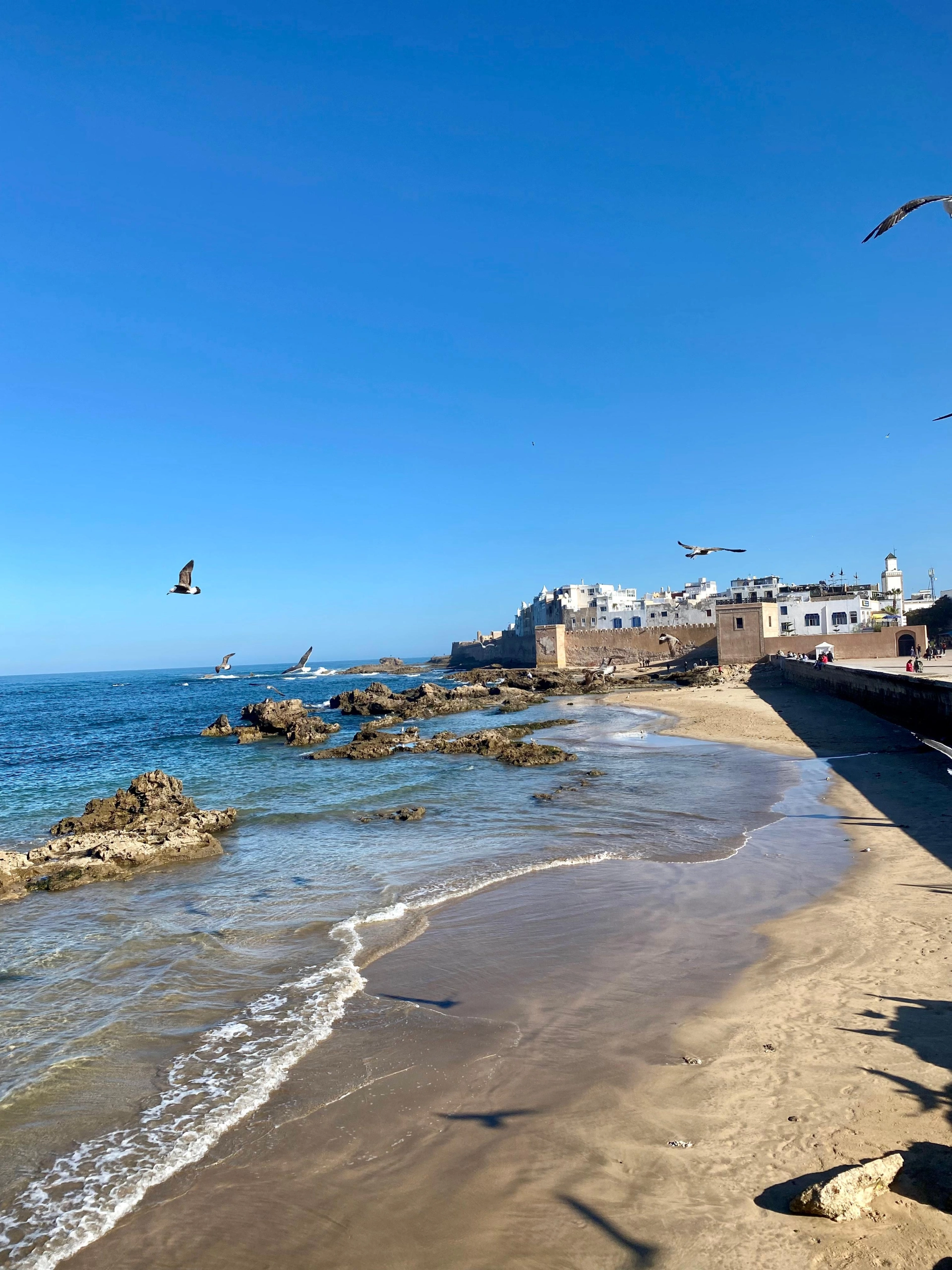 Moroccan Coast